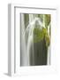 Galovac Buk Waterfalls, Upper Lakes, Plitvice Lakes National Park, Croatia, October 2008-Biancarelli-Framed Photographic Print