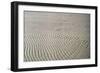 Galveston: Beach-null-Framed Giclee Print