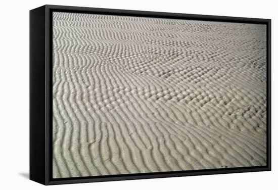 Galveston: Beach-null-Framed Stretched Canvas