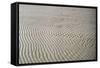 Galveston: Beach-null-Framed Stretched Canvas