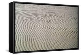 Galveston: Beach-null-Framed Stretched Canvas