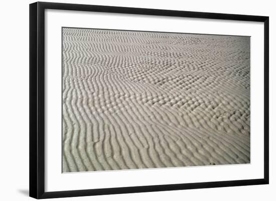 Galveston: Beach-null-Framed Giclee Print