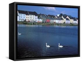 Galway Bay, County of Galway, Ireland-Marilyn Parver-Framed Stretched Canvas