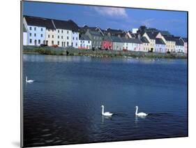 Galway Bay, County of Galway, Ireland-Marilyn Parver-Mounted Photographic Print
