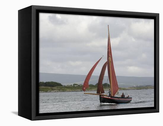 Galway Hookers at Roundstone Regatta, Connemara, County Galway, Connacht, Republic of Ireland-Gary Cook-Framed Stretched Canvas