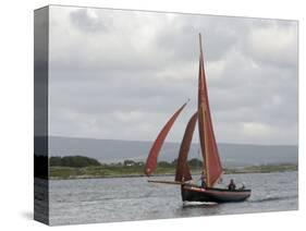 Galway Hookers at Roundstone Regatta, Connemara, County Galway, Connacht, Republic of Ireland-Gary Cook-Stretched Canvas