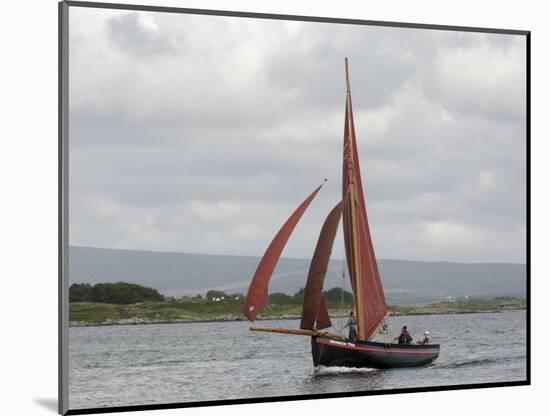 Galway Hookers at Roundstone Regatta, Connemara, County Galway, Connacht, Republic of Ireland-Gary Cook-Mounted Photographic Print