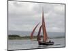 Galway Hookers at Roundstone Regatta, Connemara, County Galway, Connacht, Republic of Ireland-Gary Cook-Mounted Photographic Print