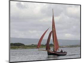 Galway Hookers at Roundstone Regatta, Connemara, County Galway, Connacht, Republic of Ireland-Gary Cook-Mounted Photographic Print