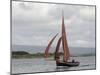 Galway Hookers at Roundstone Regatta, Connemara, County Galway, Connacht, Republic of Ireland-Gary Cook-Mounted Photographic Print