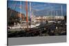 Galway Marina, Galway Docks, County Galway, Connacht, Republic of Ireland, Europe-Carsten Krieger-Stretched Canvas