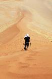 Quiver Tree in Namibia, Africa-Galyna Andrushko-Laminated Photographic Print