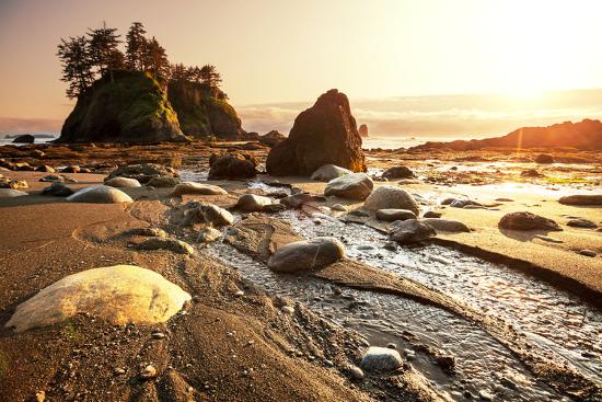 Premium Photographic Print, , large