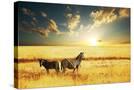 Stretched Canvas
