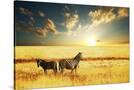 Stretched Canvas