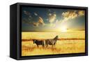 Canvas Black