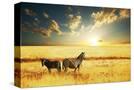 Stretched Canvas