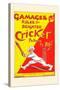 Gamages Rules for Brighter Cricket-null-Stretched Canvas