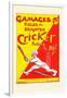 Gamages Rules for Brighter Cricket-null-Framed Art Print