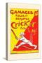 Gamages Rules for Brighter Cricket-null-Stretched Canvas