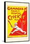 Gamages Rules for Brighter Cricket-null-Framed Stretched Canvas