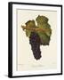 Gamay Freaux Grape-J. Troncy-Framed Giclee Print