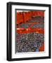Gamay Grapes at Georges Duboeuf Winery, Romaneche-Thorins, Beaujolais, Bourgogne, France-Per Karlsson-Framed Photographic Print