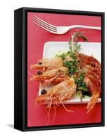 Gamberi in Coperta (King Prawns Wrapped in Parma Ham)-Alexander Van Berge-Framed Stretched Canvas