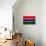 Gambia Flag Design with Wood Patterning - Flags of the World Series-Philippe Hugonnard-Art Print displayed on a wall