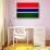 Gambia Flag Design with Wood Patterning - Flags of the World Series-Philippe Hugonnard-Stretched Canvas displayed on a wall