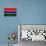 Gambia Flag Design with Wood Patterning - Flags of the World Series-Philippe Hugonnard-Stretched Canvas displayed on a wall