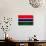 Gambia Flag Design with Wood Patterning - Flags of the World Series-Philippe Hugonnard-Art Print displayed on a wall