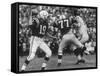 Game Between the Baltimore Colts Vs. the Chicago Bears-George Silk-Framed Stretched Canvas