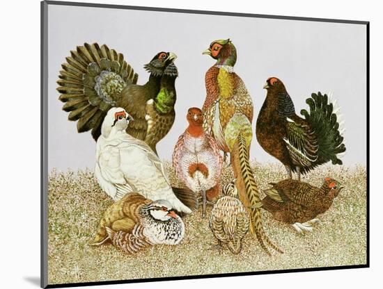 Game Birds-Pat Scott-Mounted Giclee Print