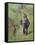 Game Guards Patrolling on Elephant Back, Kaziranga National Park, Assam State, India-Steve & Ann Toon-Framed Stretched Canvas