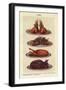 Game, Isabella Beeton, UK-null-Framed Giclee Print