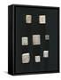 Game Objects Made from Ivory, Dice, from Volubilis-null-Framed Stretched Canvas