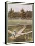 Game of Baseball in an Open Field Spectators Round the Perimeter-null-Framed Stretched Canvas