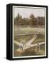 Game of Baseball in an Open Field Spectators Round the Perimeter-null-Framed Stretched Canvas