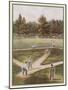 Game of Baseball in an Open Field Spectators Round the Perimeter-null-Mounted Art Print