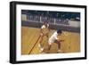 Game of Squash-null-Framed Photographic Print