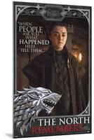 Game Of Thrones - Arya-The North Remembers-null-Mounted Poster