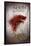 Game of Thrones The North Remembers TV Poster Print-null-Framed Poster