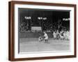 Brown Frame