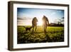 Game-Shooting, United Kingdom, Europe-John Alexander-Framed Photographic Print