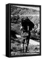 Game Warden Carrying a Killed Chamois at the Gran Paradiso Park-null-Framed Stretched Canvas