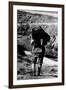 Game Warden Carrying a Killed Chamois at the Gran Paradiso Park-null-Framed Photographic Print