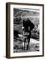 Game Warden Carrying a Killed Chamois at the Gran Paradiso Park-null-Framed Photographic Print