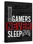 Gamers Never Sleep-Kimberly Allen-Framed Stretched Canvas