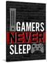 Gamers Never Sleep-Kimberly Allen-Stretched Canvas